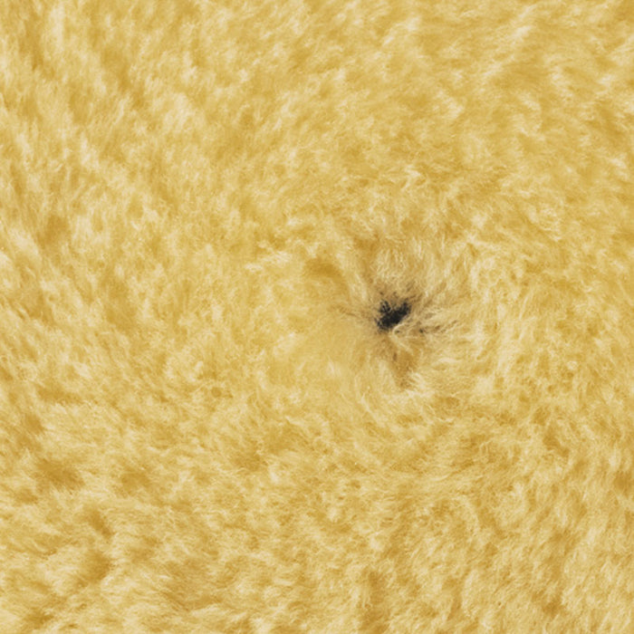 RUPES Wool Yellow Medium Polishing Pad (40mm)