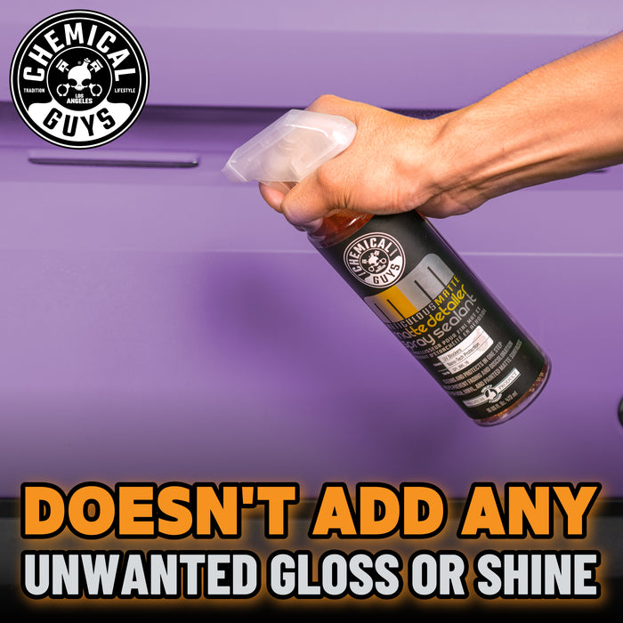 Chemical Guys Meticulous Matte Detailer