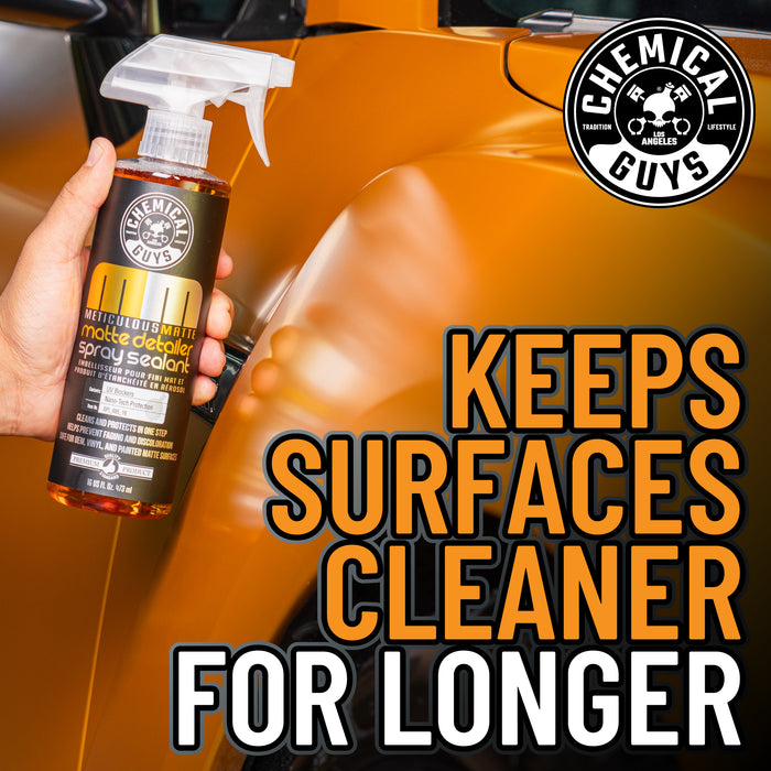 Chemical Guys Meticulous Matte Detailer