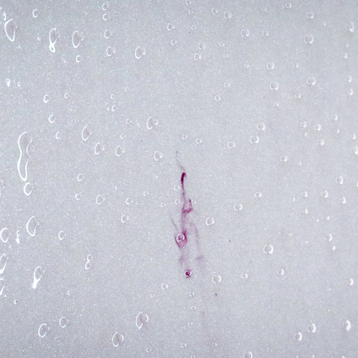 CARPRO Iron X Cherry Scent (Mini Size 50ml)