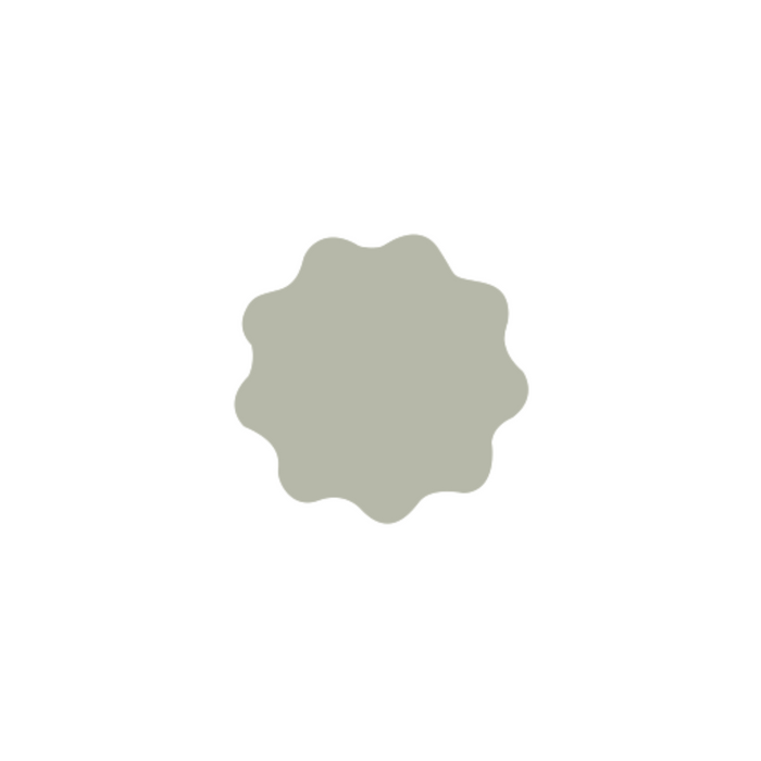 RUPES MICROFINISH Adhesive Denibbing Discs