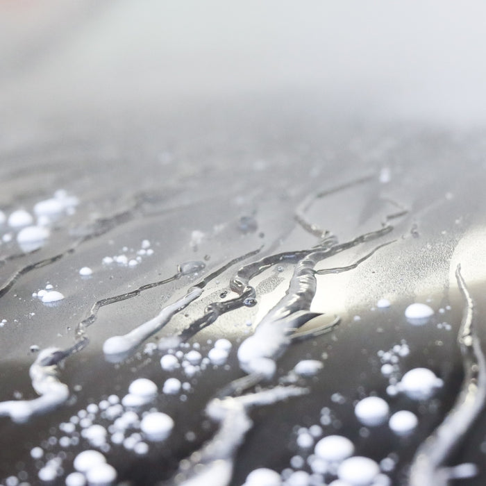 Koch-Chemie Pw ProtectorWax